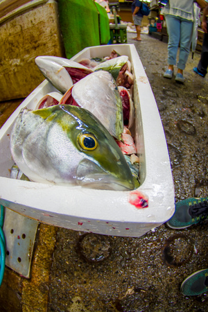 TOKYO, JAPAN JUNE 28 - 2017: Fish inside of a white boxes and seafood for sale at the Fish Market Tsukiji wholesale in Tokyo Japan, Tsukiji Market is the biggest wholesale fish and seafood market in the world. Fish eye effectのeditorial素材
