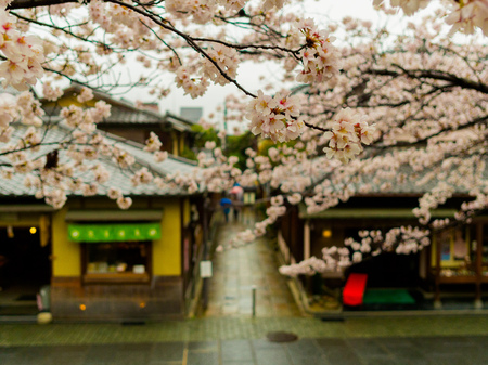 HAKONE, JAPAN - JULY 02, 2017: Higashiyama district with cherry blossoms the springtime in Kyotoのeditorial素材