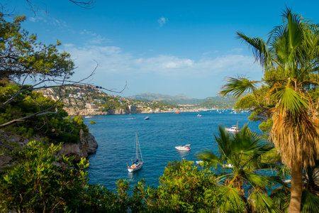 Andratx port marina in Mallorca balearic islands, with yatchs in the water and some buildings in the...