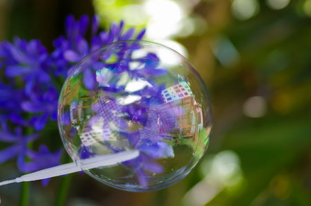 Close up of a soap buble on a blurred purple background, with a building reflection in the buble