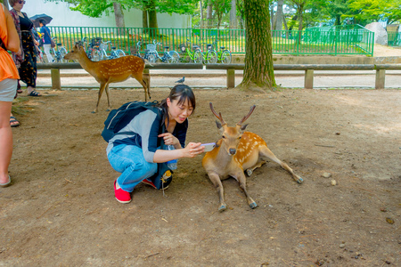 Nara, Japan - July 26, 2017: Close up of unidentified woman taking a selfie of a wild deer in Nara, Japan. Nara is a major tourism destination in Japan - former capita city and currently UNESCO World Heritage Siteのeditorial素材