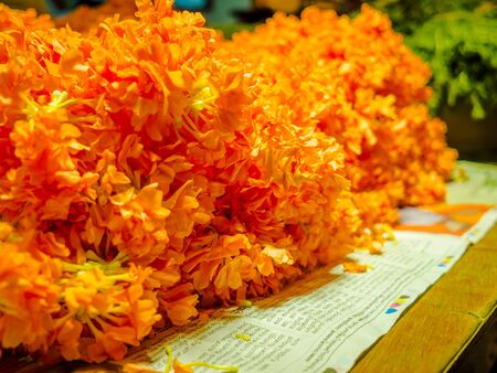 Close up of a yellow flowers at KR Market in Bangalore. in Bangalore, Indiaのeditorial素材