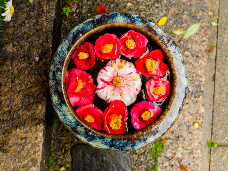 Close up of a set of cattleya orchid red flowers and stone as oblation over a stoned ground in Japanの写真素材