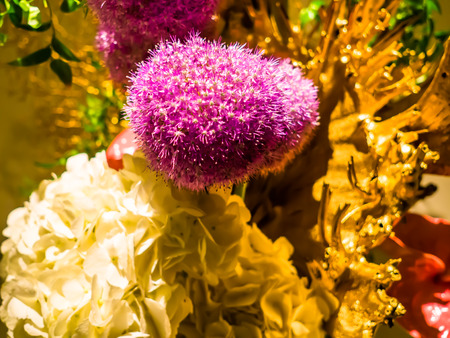 Close up of a beautiful purple spring flowers in Japan.の写真素材
