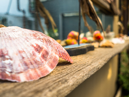 TOKYO, JAPAN JUNE 28 - 2017: Close up of a shell at outdoor view in a restaurant at Komachi-dori Street, in a blurred background, in Kamakura in Tokyo Japanのeditorial素材
