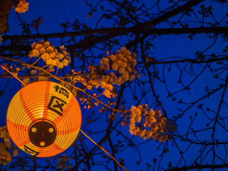 HAKONE, JAPAN - JULY 02, 2017: Japanesse letters in a yellow lantern at night in a cherry blossoms in Sakura majestic Kiyomizu-dera, a famous Buddhist Temple in Kyotoのeditorial素材
