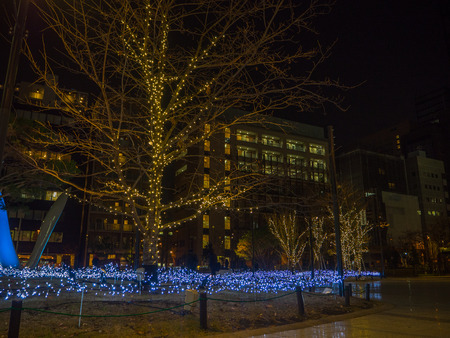 Nara, Japan - July 26, 2017: Beautiful view of the road, with some trees with christmas lighs in the city of Tokyoのeditorial素材