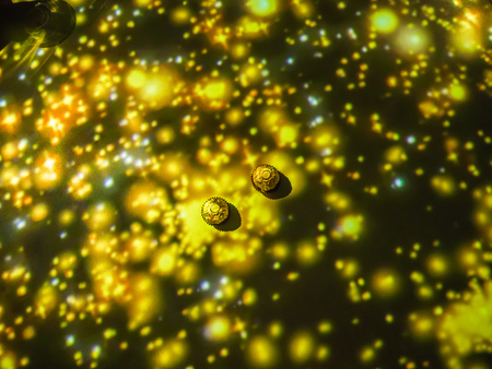 Tokyo, Japan - July 26, 2017: Close up of a two ferrero rocher chocolate, in a convention city, of Tokyo, by Ferrero Rocher campaigns in Tokyo in a blurred backgroundのeditorial素材