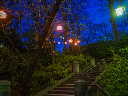 HAKONE, JAPAN - JULY 02, 2017: Japanesse letters in a yellow lantern at night in a cherry blossoms in Sakura majestic Kiyomizu-dera, a famous Buddhist Temple in Kyotoのeditorial素材