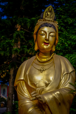 Impressive golden statues at Ten Thousand Buddhas Monastery in Sha Tin, Hong Kong, China.の写真素材