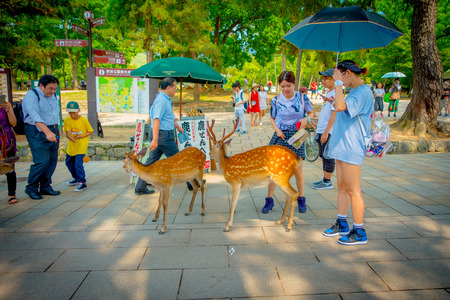 Nara, Japan - July 26, 2017: Unidentified women enjoying a group of wild deers in Nara, Japan. Nara is a major tourism destination in Japanのeditorial素材