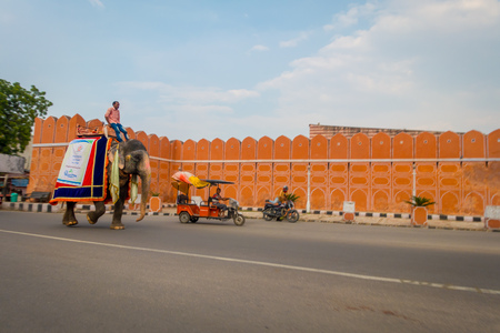 Jaipur, India - September 20, 2017: Unidentified man riding an huge elephant decorated with colors in Jaipur, Rajasthan, Indiaのeditorial素材