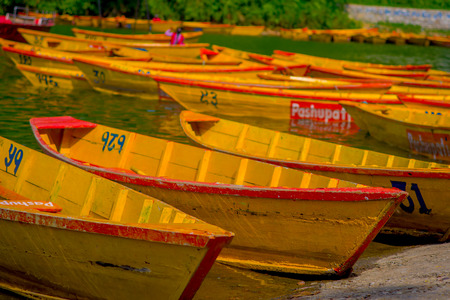 POKHARA, NEPAL - NOVEMBER 04, 2017: Close up of wooden yellow boats in a row at Begnas lake in Pokhara, Nepal.のeditorial素材