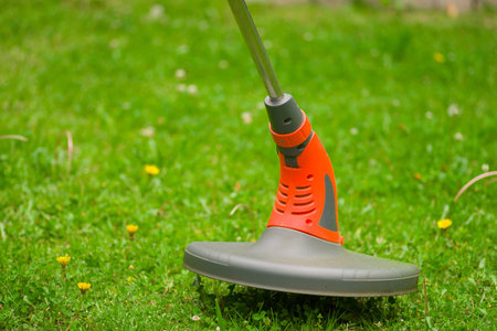 Close up of string lawn trimmer mower cutting grass, over a grass background
