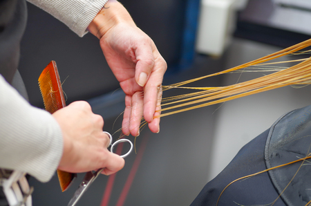 Close up of a hairdresser cutting the hair of a woman, selective focusの写真素材