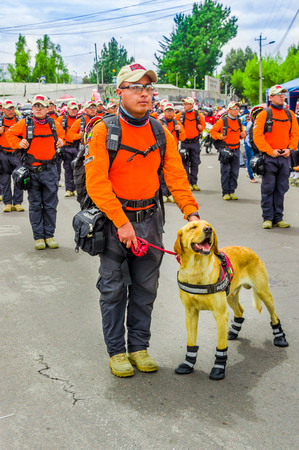 Quito, Ecuador - January 31, 2018: Outdoor view of unidentified man with a beautiful golden retriever dog, group of rescue walking in the streets during a parade in Quito, Ecuadorのeditorial素材