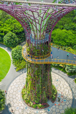 SINGAPORE, SINGAPORE - JANUARY 30, 2018: Above view of unidentified people walking in a walkway of supertree at Gardens by the Bay. The tree structures are fitted with environmental technologies, Singaporeのeditorial素材