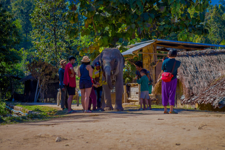 CHIANG RAI, THAILAND - FEBRUARY 01, 2018: Beautiful outdoor view of unidentified people close to a huge elephant in a clay street in a Jungle Sanctuary in Chiang Maiのeditorial素材