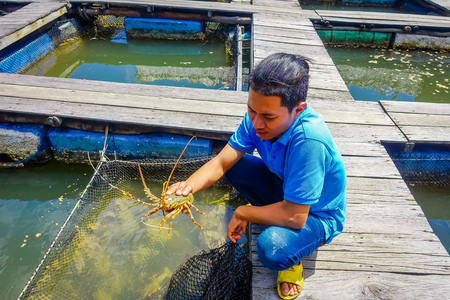 Outdoor view of unidentified man recolecting a lobster at Farm fish wood restaurant sea river with small pools at Krabi Thailandのeditorial素材