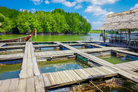 AO NANG, THAILAND - FEBRUARY 19, 2018: Outdoor view of Farm fish wood restaurant sea river with small pools at Krabi Thailandのeditorial素材