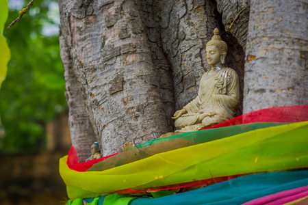 Close up of selective focus of beautiful Buddha in a tree in Ayutthaya Provinceの写真素材
