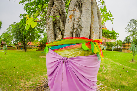 Close up of selective focus of beautiful Buddha in a tree in Ayutthaya Provinceの写真素材