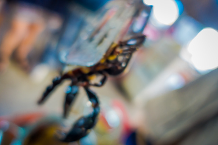 Close up of blurred scorpion inside of whiskey flask, prepared by locals on an island off the coast of Laos, at the Golden Triangle Special Economic Zone Chinatownの写真素材