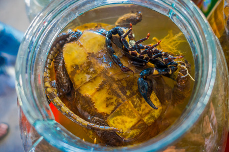 Above view of escorpion and turtle inside of whiskey flask, prepared by locals on an island off the coast of Laos, at the Golden Triangle Special Economic Zone Chinatownの写真素材