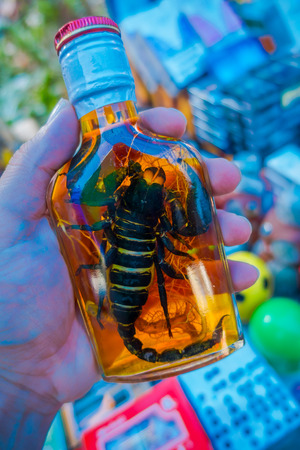 Close up of scorpion animal inside of Whiskey flask prepared by locals on an island off the coast of Laos, at the Golden Triangle at Chinatown. These brews contain live scorpionの写真素材