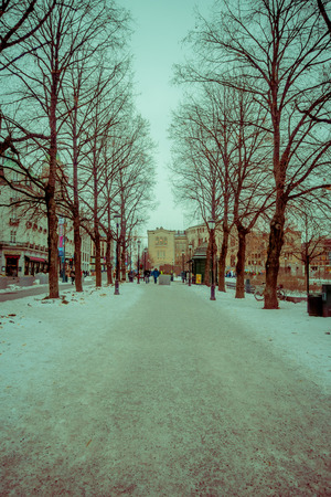 OSLO, NORWAY - MARCH, 26, 2018: Outdoor view of people walking in the streets at tree alignment in Vigeland Park, Oslo. Snow coveredのeditorial素材