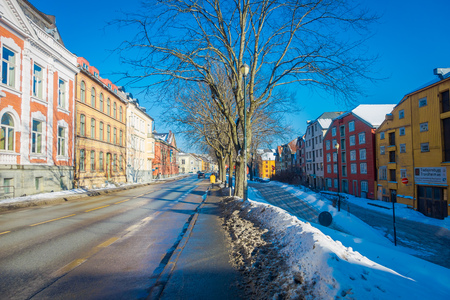 TRONDHEIM, NORWAY - APRIL 04, 2018: Outdoor view of dry rees with colorful buildings on streets of Trondheim, Norway. Scandinavian style of architectureのeditorial素材