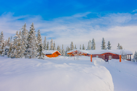 Outdoor view of snow in pine trees during a heavy winter and typical wooden red housesの写真素材