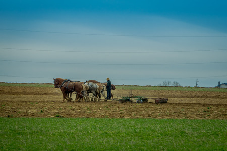 Outdoor view of amish farmer using many horses hitch antique plow in the fieldの写真素材