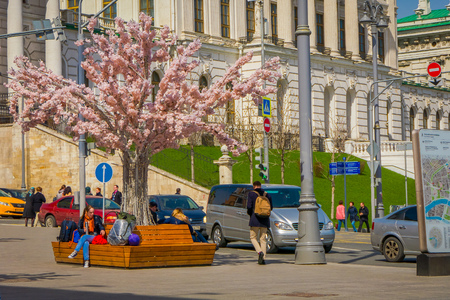 MOSCOW, RUSSIA- APRIL, 24, 2018: Beautiful outdoor view of people walking in the streets decorated for the celebration of Easter with a Pink treeのeditorial素材