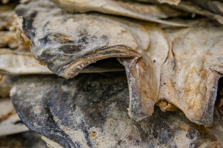 Close up of selective focus of salted fish for sale on a street market in southwestern in san Cristobal de las Casasの写真素材