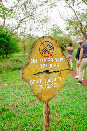GALAPAGOS, ECUADOR- NOVEMBER, 11 2018: Outdoor view of informative sign of do not touch the tortoises located in the Galapagos islands, South Americaのeditorial素材