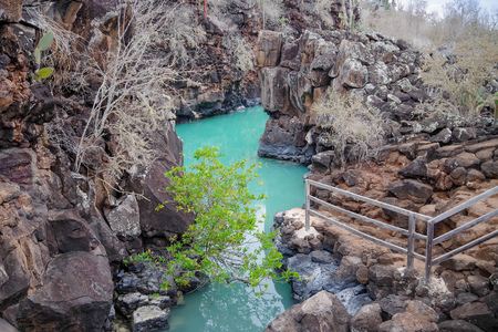 Puerto Ayora, Galapagos, Ecuador - November 25, 2018: Tourists swimming in Las Grietas on Santa Cruz Island in Galapagos. It is popular tourist destinationのeditorial素材
