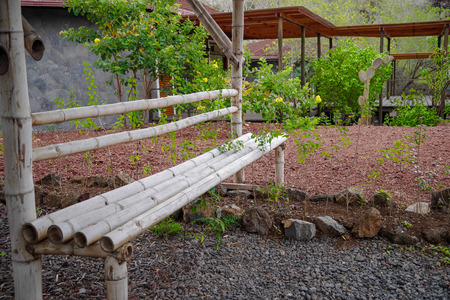 Outdoor view of ecoloical bamboo chair located in a reserve in the Galapagos islands, South Americaのeditorial素材