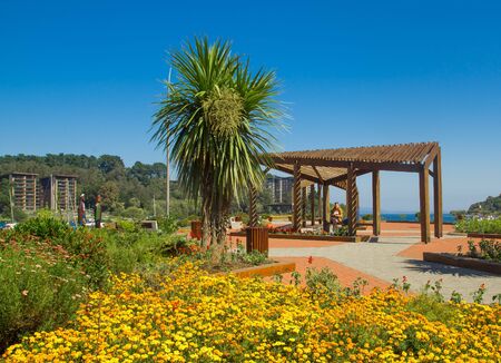 PUCON, CHILE - SEPTEMBER, 23, 2018: Pucon town in central Chile on a blue skies sunny dayのeditorial素材