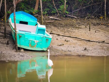 Sua, Ecuador, October 03, 2019: Fishing Boats in the river of the town of Sua beach in Ecuador.のeditorial素材