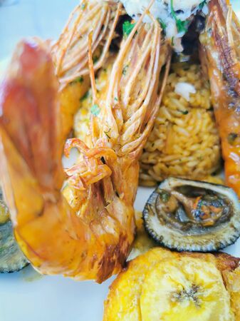 Jumbo prawns and grilled shrimp with rice and coconutの写真素材