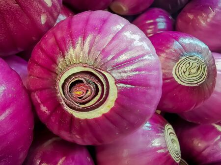 Organic red onions sold at local farmers market.の写真素材