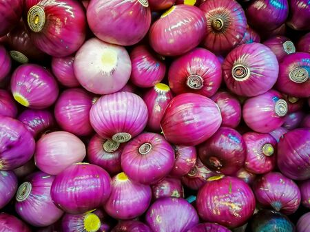 Organic red onions sold at local farmers market.の写真素材