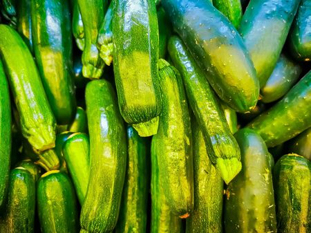 Pile Of Fresh Cucumbers top view, green backgroundの写真素材
