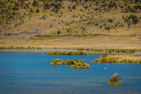 Shore of the lake Limpiopungo located in Cotopaxi national park, Ecuador in a sunny and windy day.の写真素材