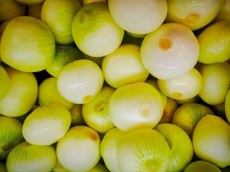 Organic red onions sold at local farmers market.の写真素材