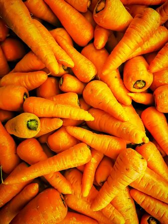 Organic carrots for sale. Fresh organic carrots at the farmers marketの写真素材