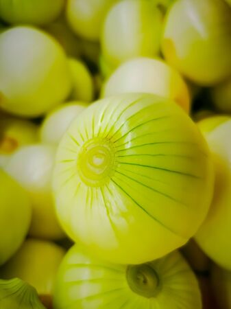Organic shallot onions sold at local farmers marketの写真素材