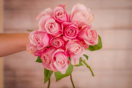 A hand holding a bouquet of secret garden roses variety, studio shot, pink flowersの写真素材