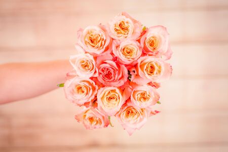 Women hand holding a bouquet of peach Shimmer roses variety, studio shot.の写真素材